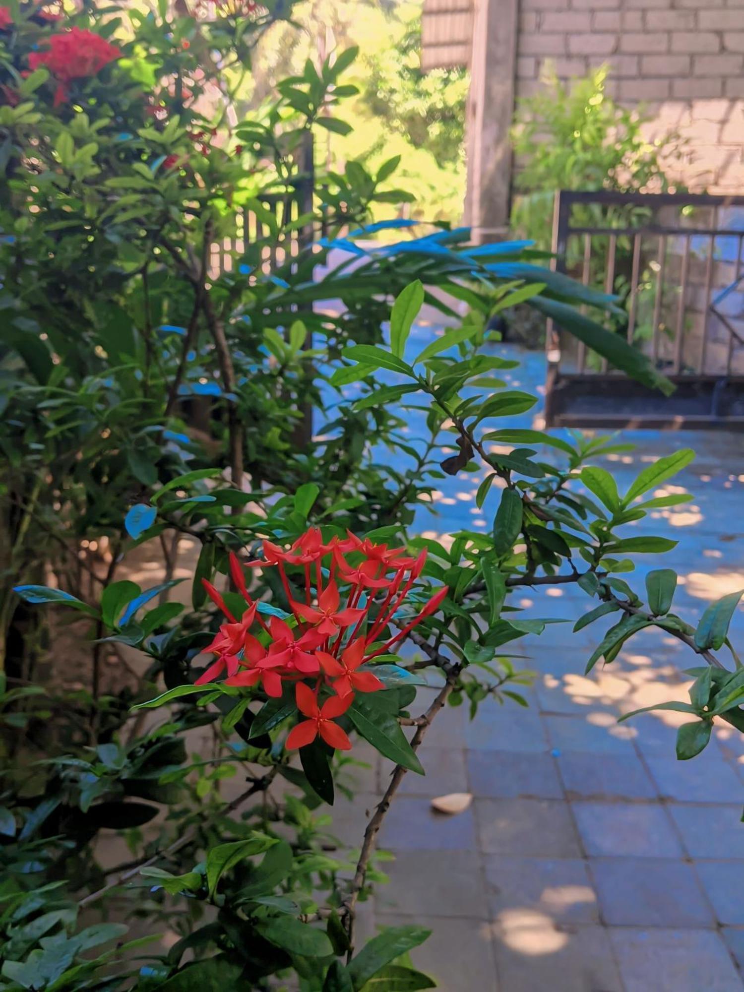 Three V Homestay Kuta  Εξωτερικό φωτογραφία