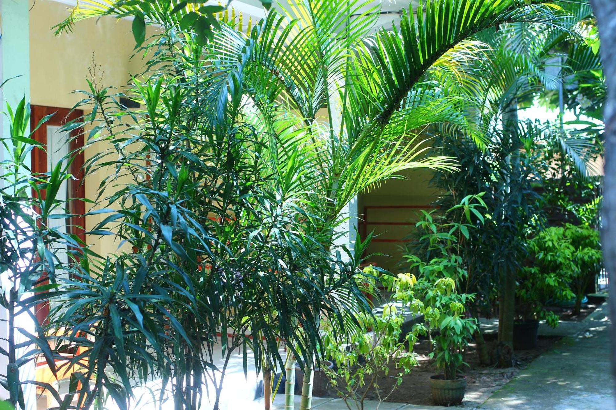 Three V Homestay Kuta  Εξωτερικό φωτογραφία