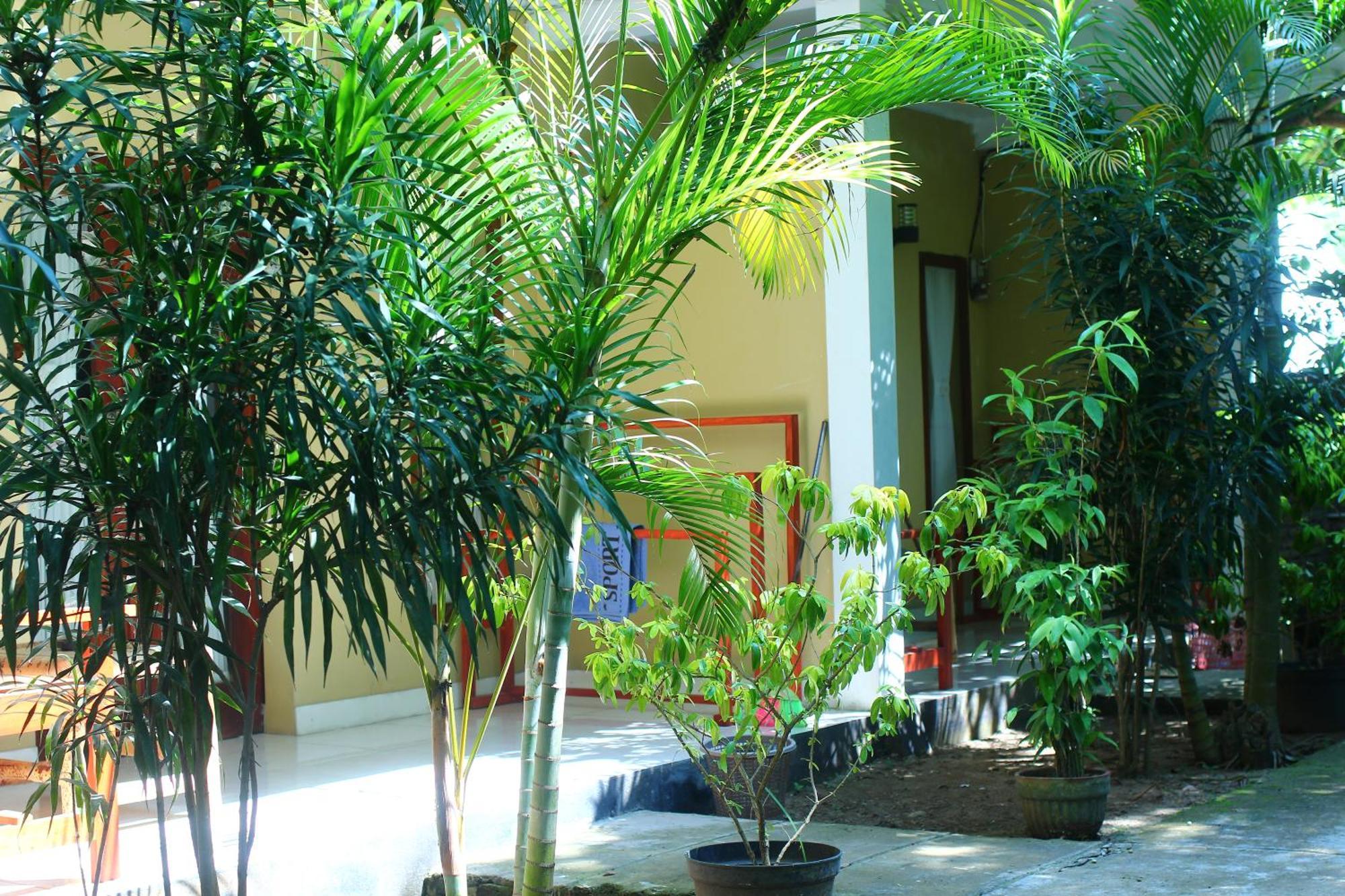 Three V Homestay Kuta  Εξωτερικό φωτογραφία