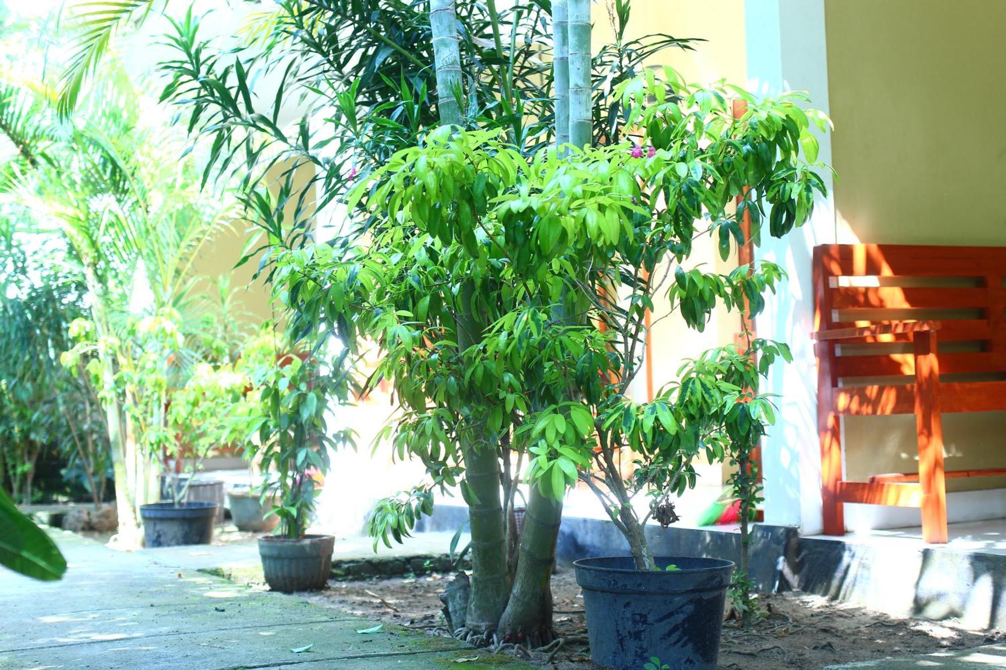 Three V Homestay Kuta  Εξωτερικό φωτογραφία