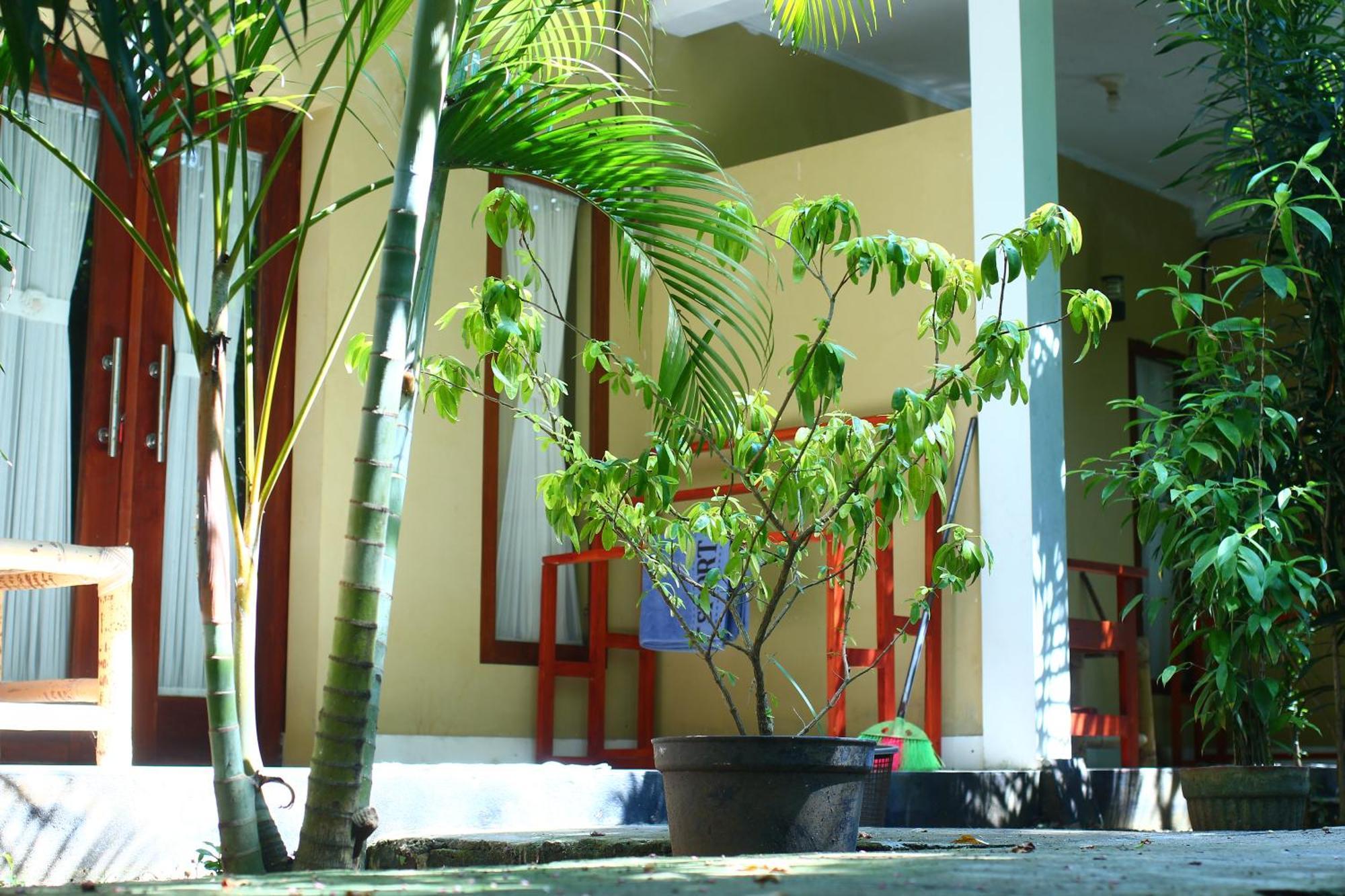 Three V Homestay Kuta  Εξωτερικό φωτογραφία