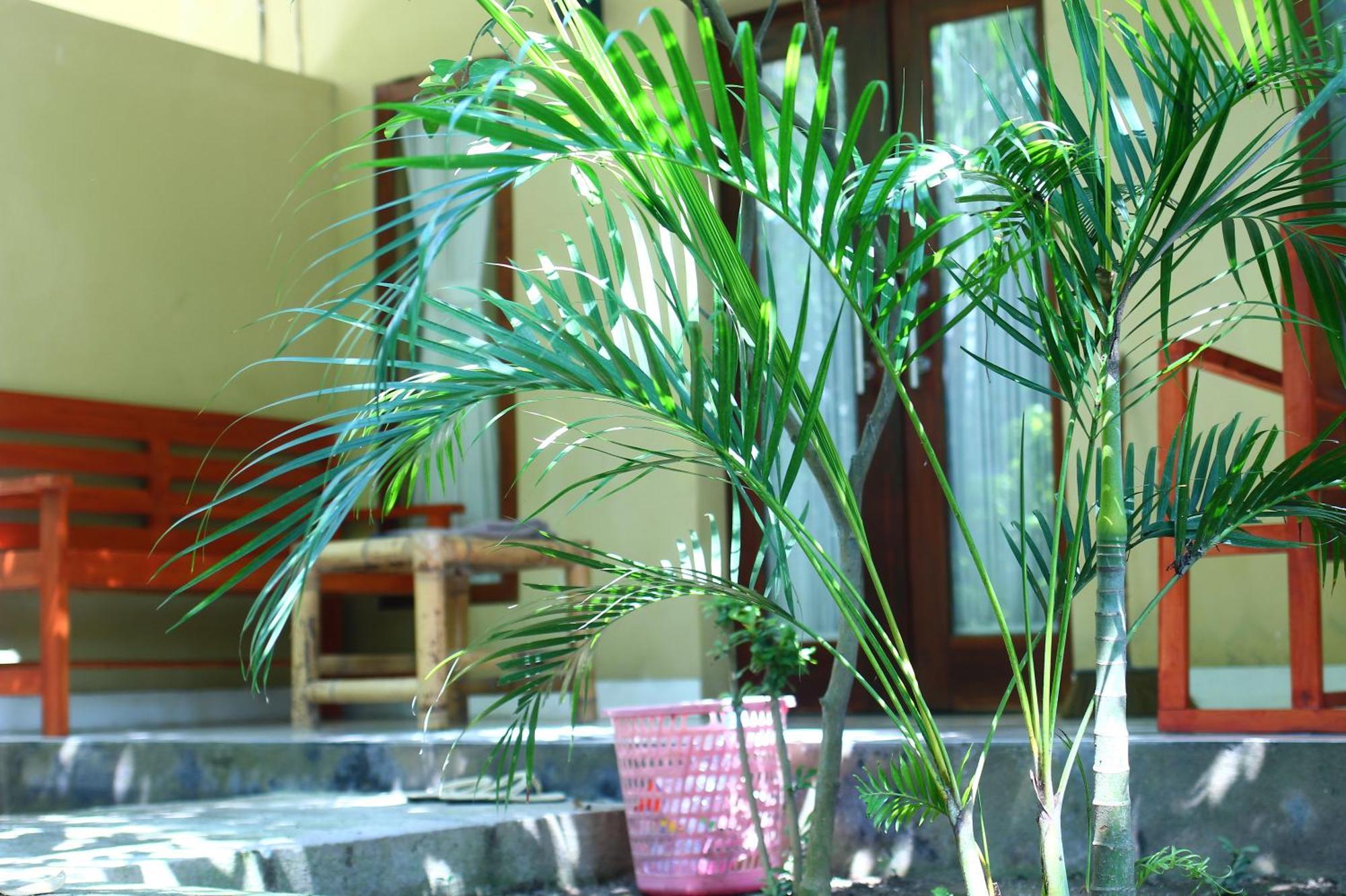 Three V Homestay Kuta  Εξωτερικό φωτογραφία