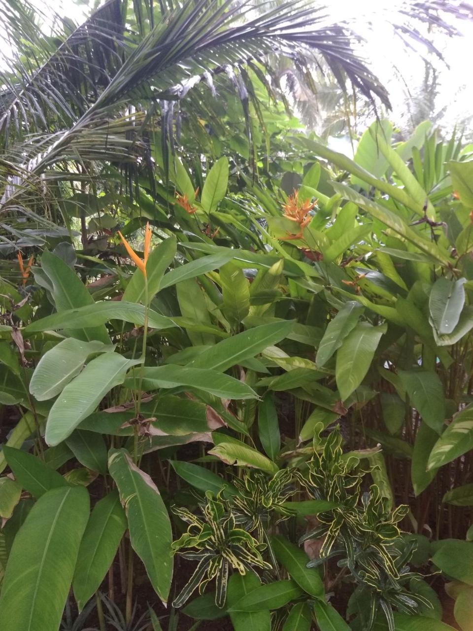 Three V Homestay Kuta  Εξωτερικό φωτογραφία